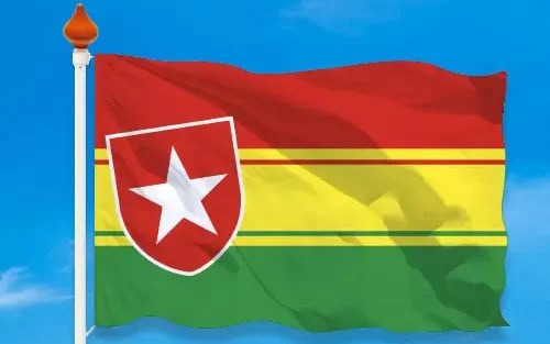 carnavalswinkel mooswief